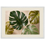 Four Greens: leaves, vivid green and impasto. Framed fine art print by The Light Stays.