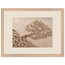 Root Lattice: petra and herbarium. Framed fine art print, alternate frame and size.
