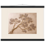 Lilac Reach: flowers and botanical. Fine art poster, alternate frame and size.