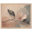 df28f975-688e-410d-9ed0-68f59484ac2e
