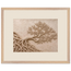 Root Lattice: petra and herbarium. Framed fine art print, alternate frame and size.