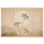 e1baa595-f704-4806-a136-71a4bc4085c4