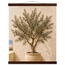 Olive Terrace: landscape and sun. Museum-quality fine art poster.