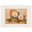 Camellia Eclipse: flowers and botanical. Museum-quality fine art poster.