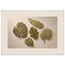 Green Constellation: botanical, green and loose rhythm. Framed fine art print, alternate frame and size.