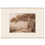 Under the Blossoms, petra and flora. Archival fine art poster shown framed.