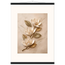 Magnolia Ascent: flowers and botanical. Fine art poster, alternate frame and size.