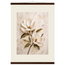 Gilded Magnolia, flowers and botanical. Archival fine art poster shown framed.