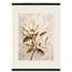 Gilded Magnolia: flowers and botanical. Fine art poster by The Light Stays.