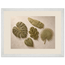 Green Constellation, botanical, green and loose rhythm. Archival framed fine art print shown framed.