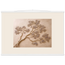 Lilac Reach: flowers and botanical. Museum-quality fine art poster.