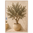 Olive Terrace: landscape and sun. Framed fine art print by The Light Stays.