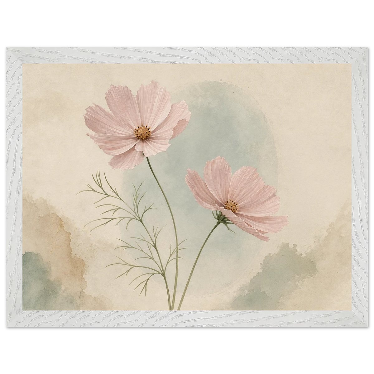 Cosmos Unison: flowers, blush and celadon. Framed fine art print by The Light Stays.