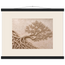Root Lattice, petra and herbarium. Archival fine art poster shown framed.