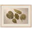 Green Constellation, botanical, green and loose rhythm. Archival framed fine art print shown framed.