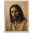 ed6e08eb-7d90-449e-8046-499f9ec2f7ce