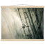 ed809eb8-d9ef-4271-824b-d020d46d0878