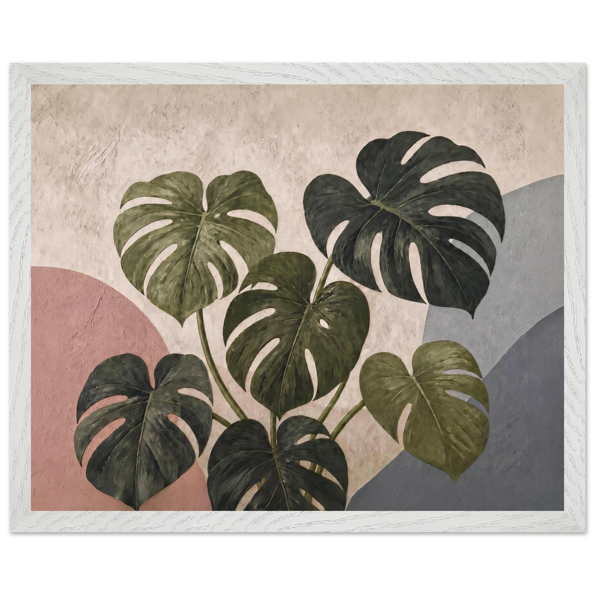 Monstera Sun, botanical and nature. Archival framed fine art print shown framed.