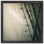ee5d4e29-180a-49b0-9ae1-9e5580cfeecb