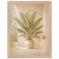 Courtyard Noon: landscape and sun. Museum-quality framed fine art print.