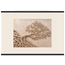 Root Lattice: petra and herbarium. Museum-quality fine art poster.