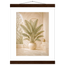 Courtyard Noon: landscape and sun. Fine art poster by The Light Stays.