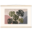 Monstera Sun: botanical and nature. Fine art poster by The Light Stays.