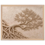 Root Lattice, petra and herbarium. Archival framed fine art print shown framed.