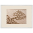 Root Lattice: petra and herbarium. Framed fine art print by The Light Stays.