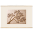 Lilac Reach: flowers and botanical. Fine art poster by The Light Stays.