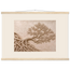 Root Lattice, petra and herbarium. Archival fine art poster shown framed.