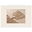 Root Lattice: petra and herbarium. Museum-quality fine art poster.