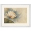 First Lotus Light, flowers and botanical. Archival framed fine art print shown framed.