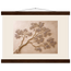 Lilac Reach: flowers and botanical. Fine art poster by The Light Stays.