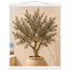 Olive Terrace: landscape and sun. Fine art poster by The Light Stays.