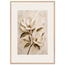 Gilded Magnolia: flowers and botanical. Framed fine art print by The Light Stays.
