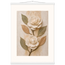 Carved Camellia, flowers and botanical. Archival fine art poster shown framed.