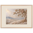 Cliffside Bloom: flowers and botanical. Framed fine art print by The Light Stays.